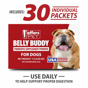BELLY BUDDY Probiotic Supplement Powder for Dogs – Multi-Strain Digestive & Immune Support