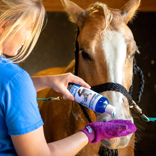 Equine BRIGHTENING BLUE Whitening Horse Shampoo