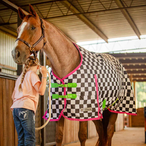 1200 Denier Standard Neck Turnout Horse Blanket, 240 Gram