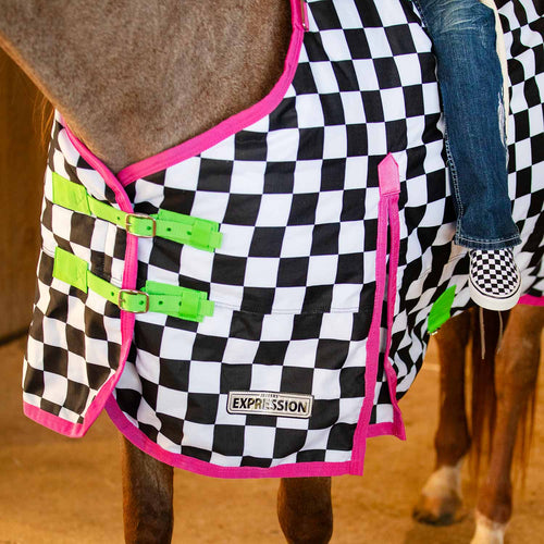 1200 Denier Standard Neck Turnout Horse Blanket, 240 Gram