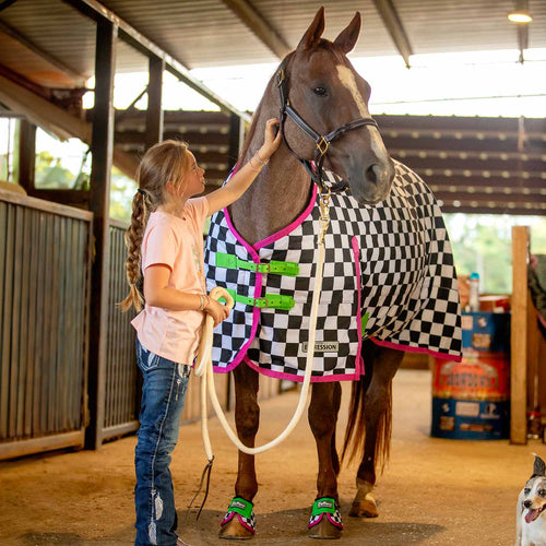1200 Denier Standard Neck Turnout Horse Blanket, 240 Gram
