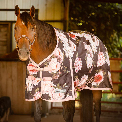 1200 Denier Standard Neck Turnout Horse Blanket, 240 Gram