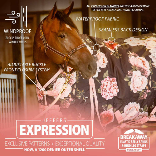 1200 Denier Standard Neck Turnout Horse Blanket, 240 Gram