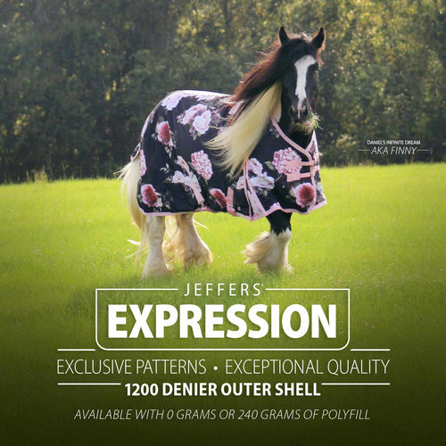 1200 Denier Standard Neck Turnout Horse Blanket, 240 Gram