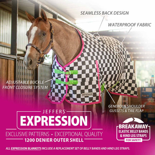 1200 Denier Standard Neck Turnout Horse Blanket, 240 Gram