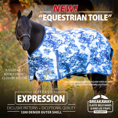 1200 Denier Standard Neck Turnout Horse Blanket, 240 Gram