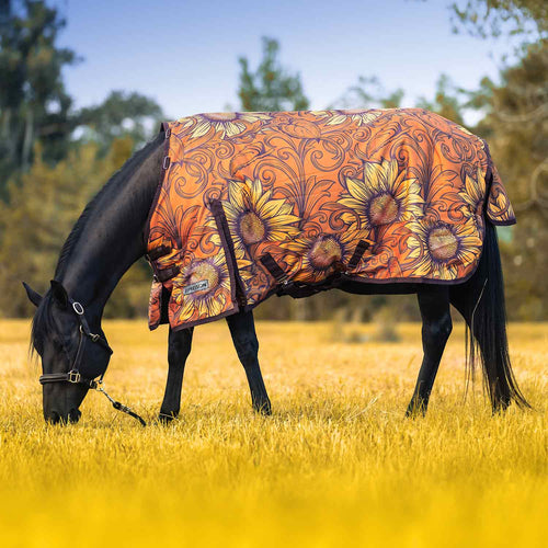 1200 Denier Standard Neck Turnout Horse Blanket, 240 Gram