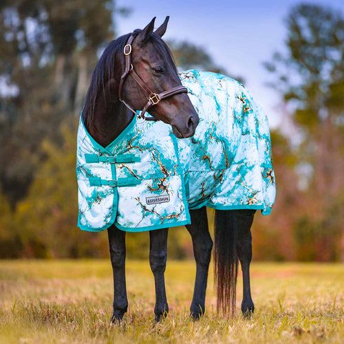 1200 Denier Standard Neck Turnout Horse Blanket, 240 Gram