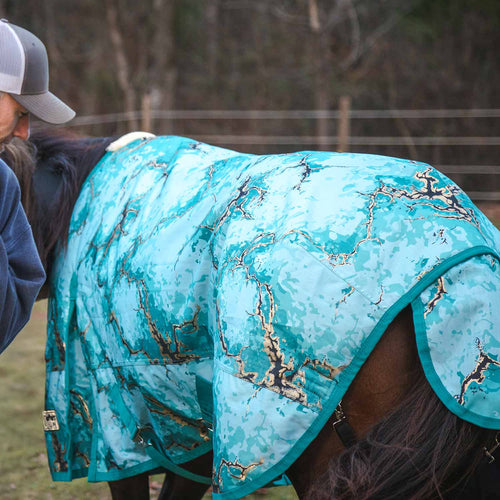 1200 Denier Standard Neck Turnout Horse Blanket, 240 Gram