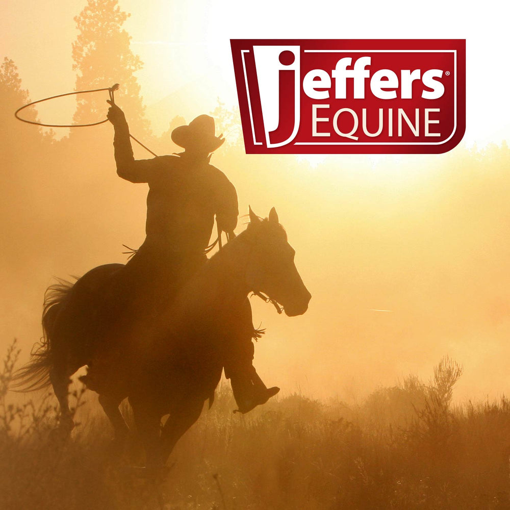 Equine Medicated Iodine Antibacterial and Antifungal Horse Shampoo
