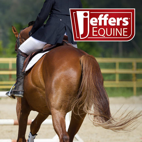 Padded Nylon Horse Halter with Throat Snap