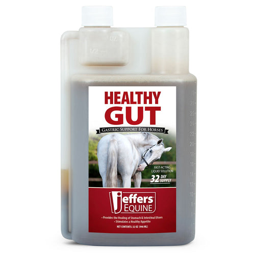 Healthy Gut Gastric Support Liquid Supplement for Horses