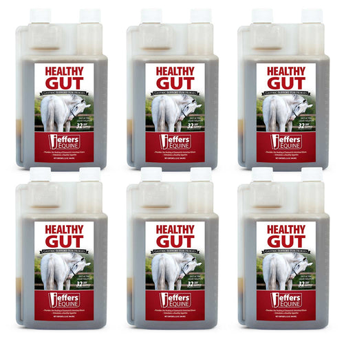 Healthy Gut Gastric Support Liquid Supplement for Horses