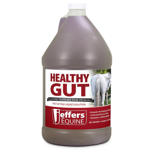 Healthy Gut Gastric Support Liquid Supplement for Horses