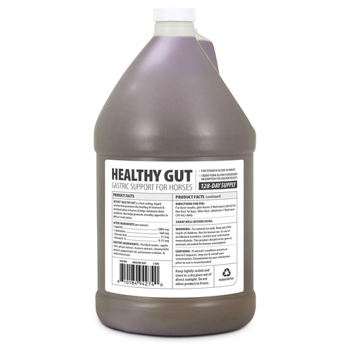 Healthy Gut Gastric Support Liquid Supplement for Horses