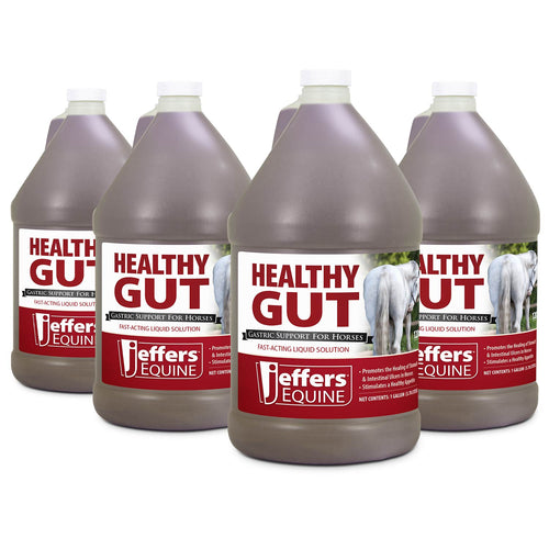 Healthy Gut Gastric Support Liquid Supplement for Horses