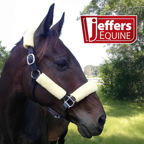 Horse Fleece Halter Tube, 4 Piece Comfort Set