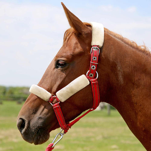 Horse Fleece Halter Tube, 4 Piece Comfort Set
