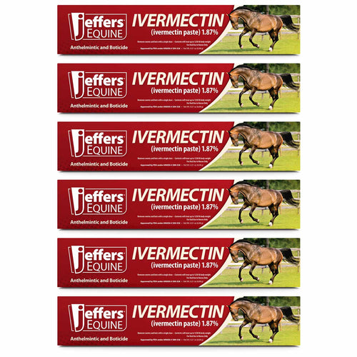 Jeffers Ivermectin Horse Dewormer Gel, Apple Flavored