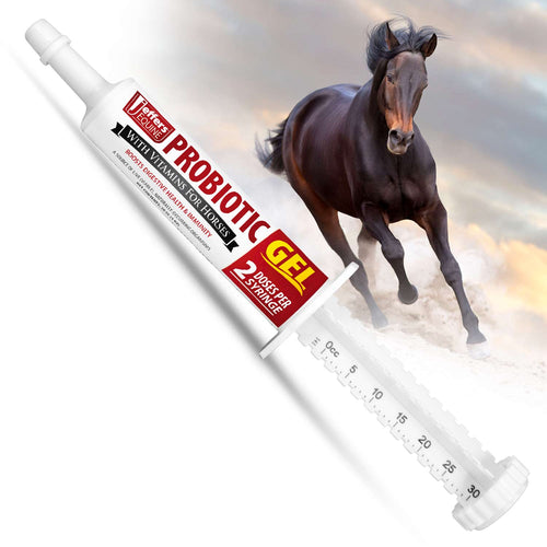 Probiotic Gel for Horses, 2 Dose Syringe