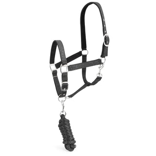 Matching Horse Halter & Lead Rope 2 Piece Set, Full Size
