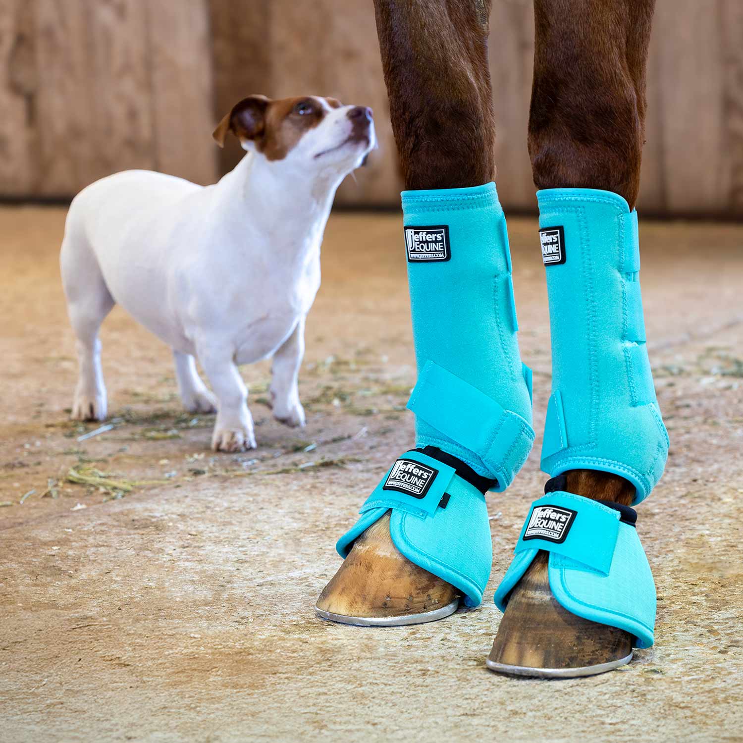 Protective Horse Boots, Solid Colors
