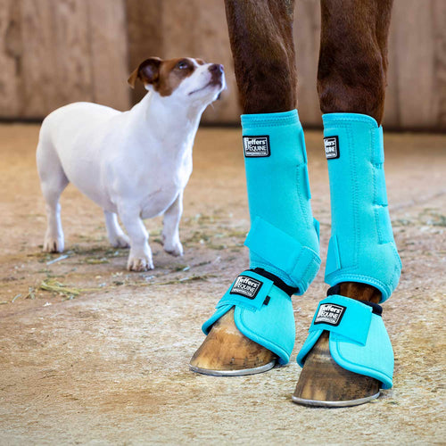 Protective Horse Boots, Solid Colors