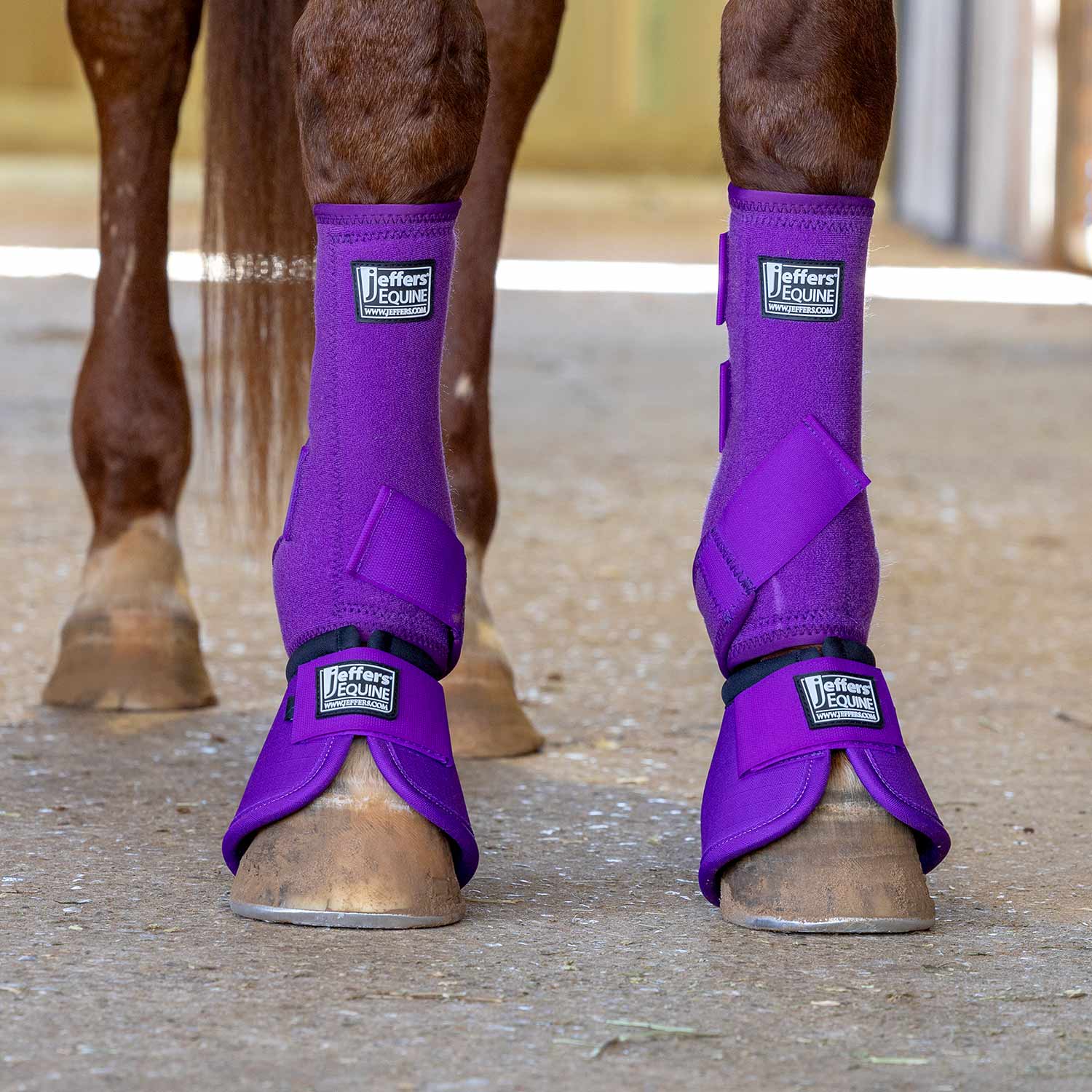 No-Turn Bell Boots for Horses, Solid Colors, 2 ct