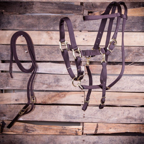 Nylon Combination Horse Halter Bridle with Reins