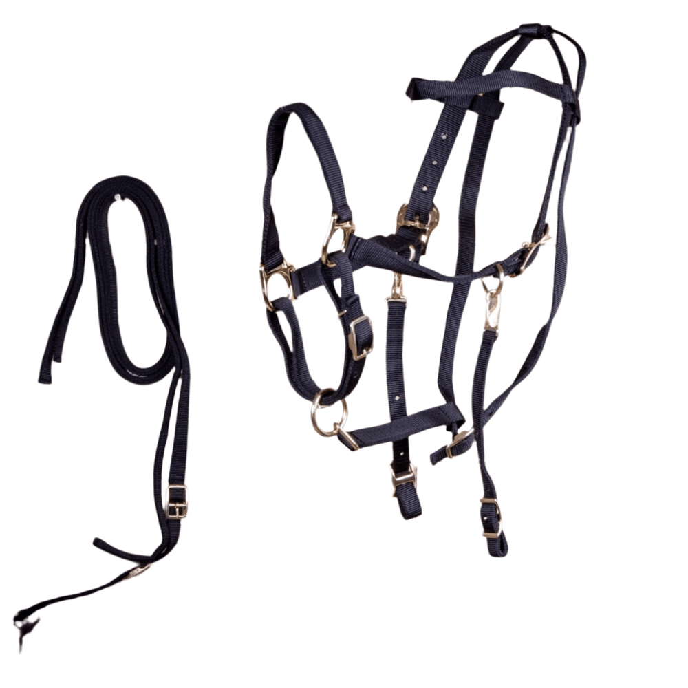 Nylon Combination Horse Halter Bridle with Reins