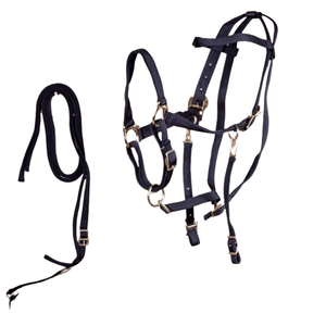 Nylon Combination Horse Halter Bridle with Reins