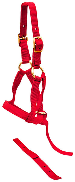 "Grow With Me" Weanling Horse Halter