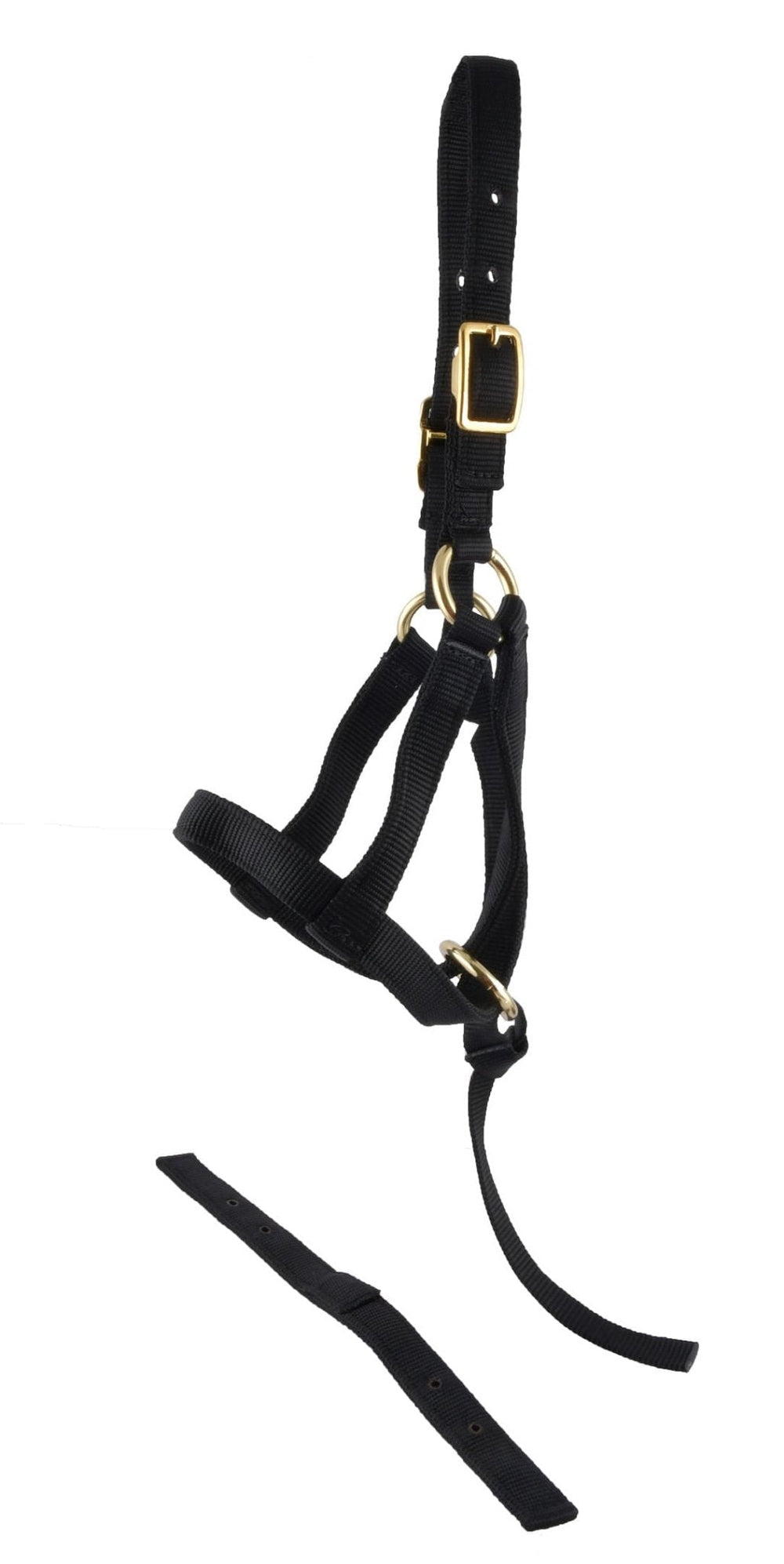 "Grow With Me" Weanling Horse Halter