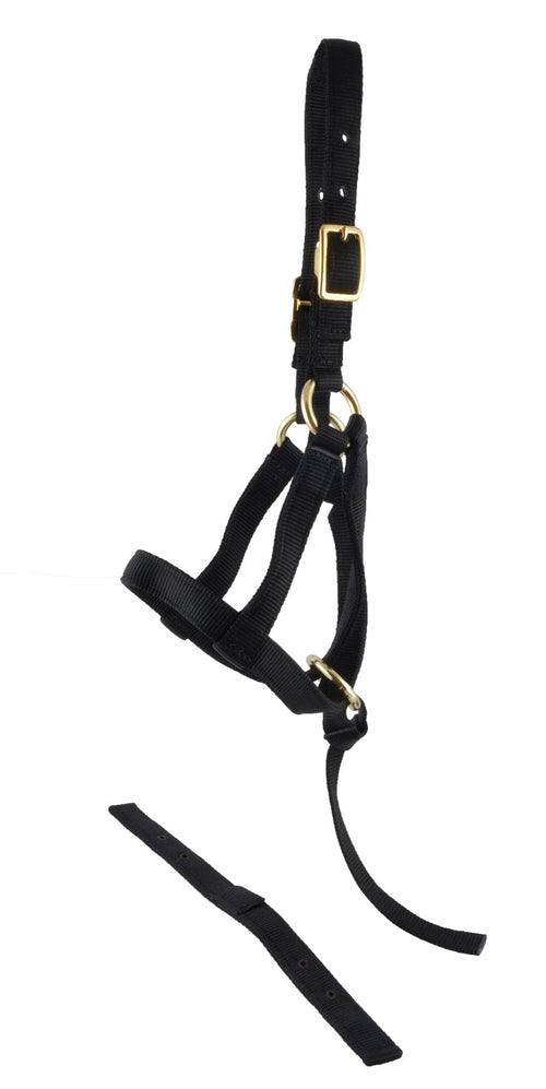 "Grow With Me" Weanling Horse Halter