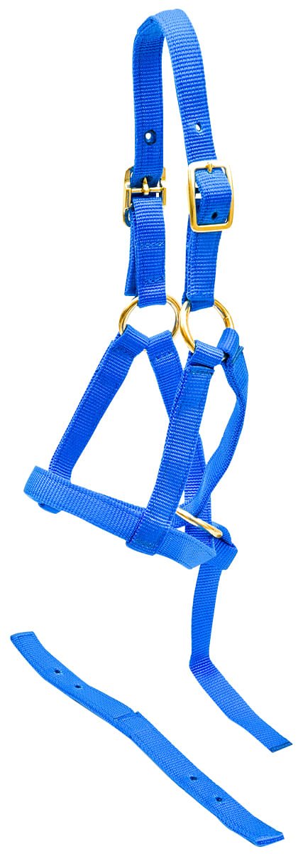 "Grow With Me" Weanling Horse Halter