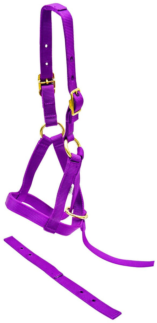 "Grow With Me" Weanling Horse Halter