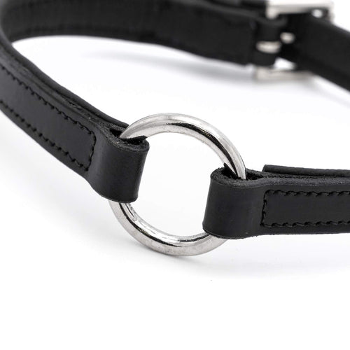 Jeffers Padded Black Leather Dog Collars with O-Ring and Nickel Hardware