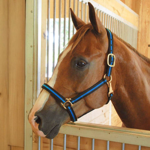 Padded Nylon Horse Halter with Throat Snap