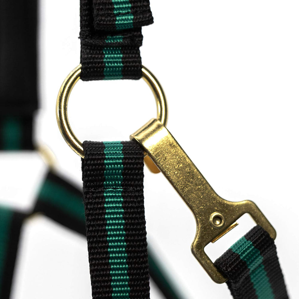 Padded Nylon Horse Halter with Throat Snap