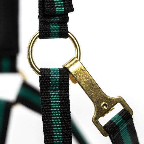 Padded Nylon Horse Halter with Throat Snap