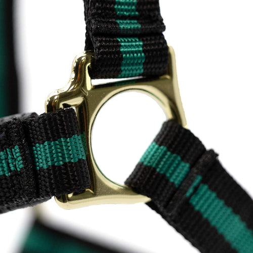 Padded Nylon Horse Halter with Throat Snap
