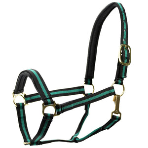 Padded Nylon Horse Halter with Throat Snap