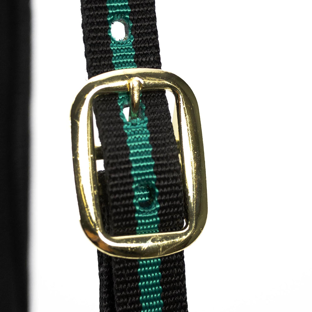 Padded Nylon Horse Halter with Throat Snap