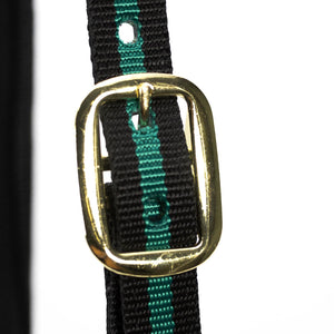 Padded Nylon Horse Halter with Throat Snap