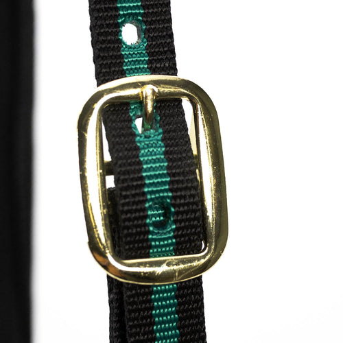 Padded Nylon Horse Halter with Throat Snap