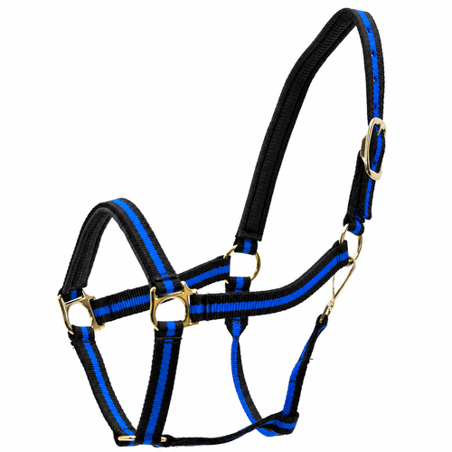 Padded Nylon Horse Halter with Throat Snap
