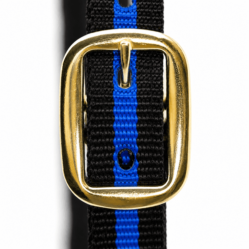 Padded Nylon Horse Halter with Throat Snap