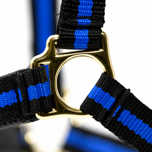 Padded Nylon Horse Halter with Throat Snap