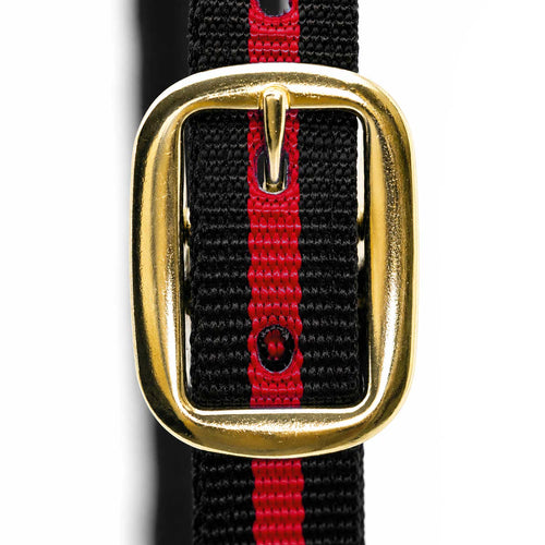 Padded Nylon Horse Halter with Throat Snap