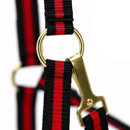 Padded Nylon Horse Halter with Throat Snap